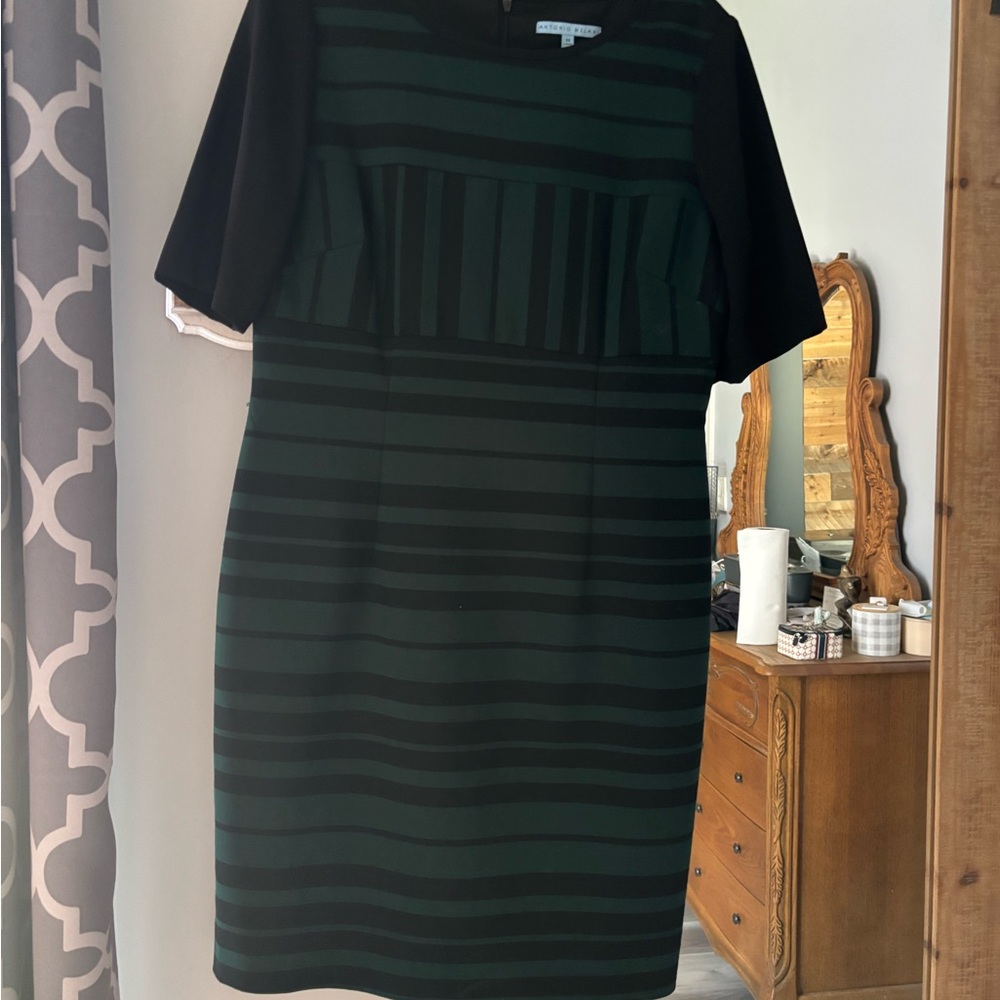 ANTONIO MELANI Green and Black Midi Dress - Picture 3 of 4